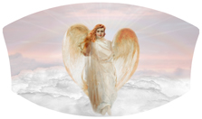 DNSWILL 118 PK Angel Clouds Pink